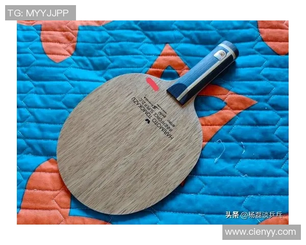 杨磊专访揭秘乒乓球成功背后的秘诀与训练心得分享