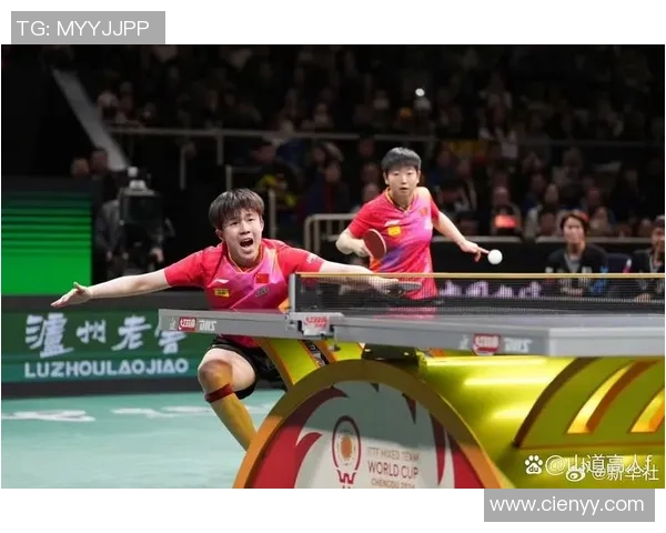 成都乒乓球队个人能力深度剖析与发展潜力探讨