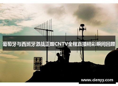 葡萄牙与西班牙激战正酣CNTV全程直播精彩瞬间回顾